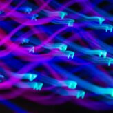 I Will Manage Shopify E-commerce Store